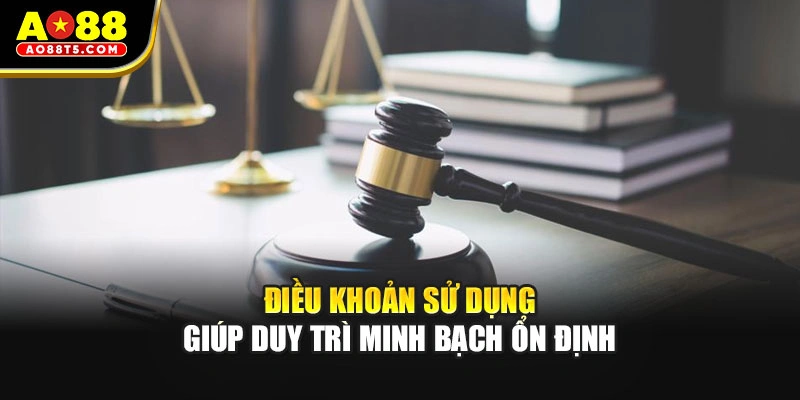 Điều khoản sử dụng giúp duy trì minh bạch ổn định